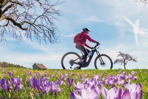 Die Kurse des Klagenfurter Sportfrühlings können kostenlos von 24. April bis 5. Mai besucht werden. Foto: Klagenfurt Sport