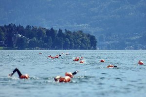 Woerthersee-Swim-Austria und Woerthersee-Night-Swim. Foto: Verein Woerthersee-Swim-Austria