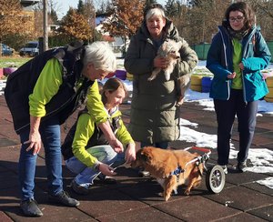 Obfrau Cornelia Lorenz und tierschutzqualifizierte Trainerin Patrizia Rafeiner mit Andrea Raschl von „Tierschutz aktiv Kärnten“, den Patenhunden Sunny und Nikita (am Arm von Andrea Raschl) und ThT-Trainee Anna. Foto: Therapiehunde-Teams Kärnten
