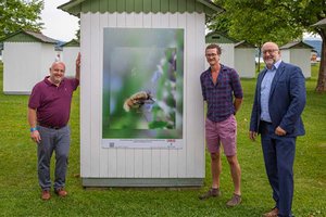 Kunstausstellung der Kärntner Berufsfotografie im Strandbad Klagenfurt. Foto: WKK/Szalay