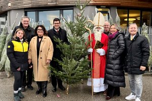 Kärntner Christbäume für den guten Zweck. Foto: Büro Gruber/Gamper