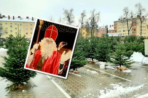 Im Lockdown: Der Nikolaus kommt heuer mit Maske, auch Christbaumkauf zulässig. Foto: Mein Klagenfurt