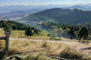 Beim Gipfelhaus Magdalensberg falschen Gang eingelegt: Auto schlitterte 140 Meter in die Tiefe. Foto: Freiwillige Feuerwehr Ottmanach