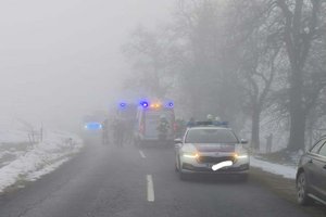 Mit Auto in Maria Rain gegen Baum geprallt: Lenker tot. Foto: FF Ebenthal