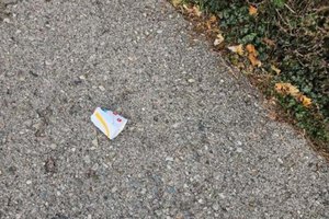 Weggeworfener Verpackungsmüll: Gemeinderat will Fastfood-Ketten in die Pflicht nehmen. Foto: zVg