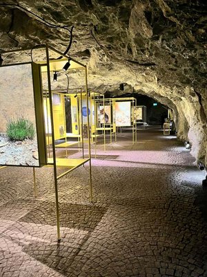 Die große Halle im Museumstollen widmet sich der Biodiversität. Foto: Büro Schaunig