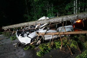 Unwetter: Baum stürzte in der Hallegger Straße auf fahrendes Auto. Foto: Berufsfeuerwehr Klagenfurt