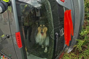 Schleppekurve: Feuerwehr musste Frau und Hund aus Auto befreien. Foto: Berufsfeuerwehr Klagenfurt