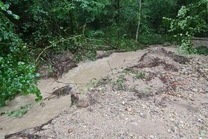 Erdrutschgefahr: Schwammerlsucher sollen Sattnitzzug meiden. Foto: FF Zell-Gurnitz