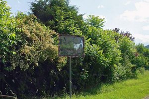 Viktring: Verkehrsspiegel bei der Hexen Stuben soll erneuert werden. Foto: Google Street View