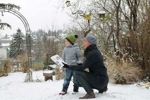 BirdLife Österreich lädt zur Vogelzählung bei der „Stunde der Wintervögel 2022“. Foto: BirdLife Österreich