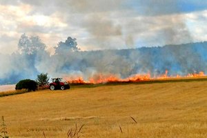 Der brennende Getreideacker in Zinsdorf: Foto: FF St. Thomas am Zeiselberg