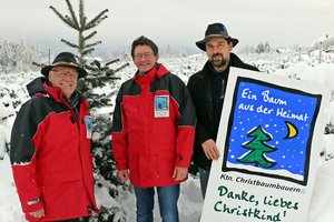Heimische Christbäume bereiten mehr Freude. Foto: LK Kärnten/Pesentheiner