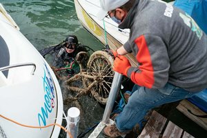 Bundesforste starten herbstliche Reinigungsaktion am Wörthersee und Ossiacher See. Foto: ÖBf-Archiv/D. Gollner