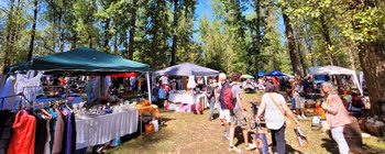 Es ist viel los am Flohmarkt in Viktring