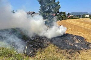 ARBÖ-Mitarbeiter entdeckt Wiesenbrand und hilft bei Löscharbeiten. Foto: Markus Jeitler