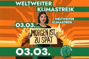Globaler Klimastreik: Am 3. März wird auch in Klagenfurt demonstriert. Foto: Fridays for Future 