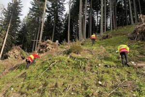 Einsatz der Rettungshundestaffel Samariterbund Kärnten. Foto: Dieter Arbeiter/RHS Kärnten