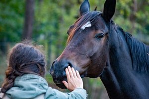 Das Pferd als Partner in dieser Phase bietet die Möglichkeit von wertfreier und konstanter Zuneigung.