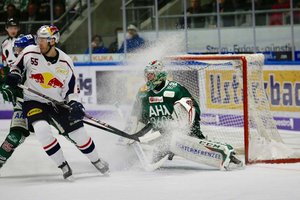 Eiskaltes Glück: Wie Sie Freispiele ohne Einzahlung im Online-Casino mit Eishockey-Thema Gewinnen können