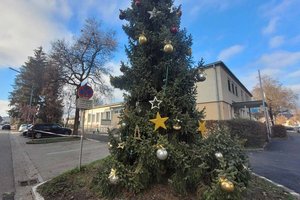 Waidmannsdorfer Adventsingen mit Christbaumsegnung. Foto: Mein Klagenfurt