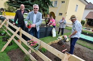 Erweiterung Urban Gardening in Klagenfurt. Foto: StadtKommunikation/Hronek