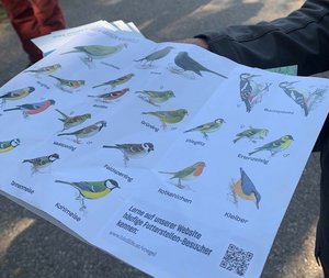 Das Europaschutzgebiet Lendspitz-Maiernigg bietet übers Jahr rund 120 Vogelarten eine temporäre Heimat. Foto: STW