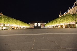 Absterbender Baum am Neuen Platz muss entfernt werden. Foto: Mein Klagenfurt/Archiv