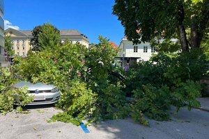 Ast eines Baumes fiel in der Purtscherstraße auf Auto. Foto: Freiwillige Feuerwehr Hauptwache Klagenfurt