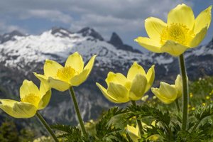 Alpenverein Klagenfurt: Wenn Natur, Musik und Fotografie verschmelzen. Foto: zVg