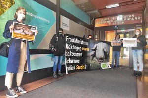 Tierschützer protestierten vor Klagenfurter ÖVP-Zentrale gegen Vollspaltenböden. Foto: VGT.at