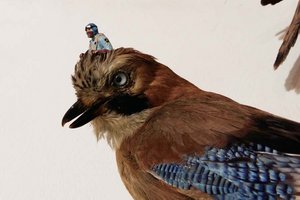 Preisverleihung Kärntner Kulturvogel 2024. Foto: VADA