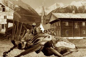 Ausstellung im Jugendstiltheater Klagenfurt: Die Riesenkäferzüchter aus dem Gailtal. Foto: Gernot Fischer-Kondratovic