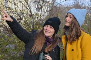 „Zähl mit!“, Österreich zählt Vögel! BirdLife Österreich ruft von 3. bis 6. Jänner 2026 zur „Stunde der Wintervögel“ auf. Foto: Lisa Lugerbauer