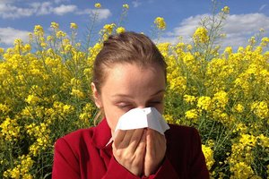 Pollenflug: Harte Zeiten für Allergiker