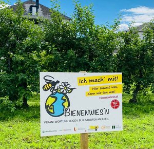 Der Bienengarten im Elisabethinen-Krankenhaus. Foto: EKH