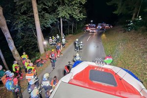 15-Jähriger alkoholisiert am Steuer: Pkw stürzte 30 Meter über Böschung. Foto: FF Zell-Gurnitz