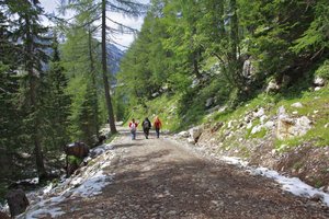 Apps für unternehmungslustige Wanderfreunde. Foto: Mein Klagenfurt/Archiv