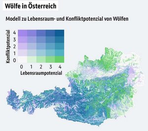 Aktuelle Wolfsstudie bestätigt hohes Konfliktpotenzial in Kärnten. Grafik: Matrix Lebensraum- und Konfliktpotenzial für Wölfe in Österreich Aktuelle Wolfsstudie bestätigt hohes Konfliktpotenzial in Kärnten. Grafik: Matrix Lebensraum- und Konfliktpotenzial für Wölfe in Österreich