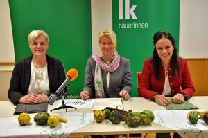 Claudia Entleitner, NR-Abg Irene Neumann-Hartberger und Astrid Brunner. Foto: LK Kärnten/Parz