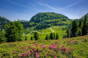 Nockalmstraße in Kärnten zählt zu Österreichs führenden Ausflugszielen. Foto: nockalmstraße.at