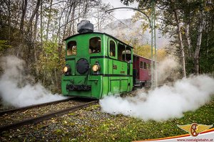 Themenfahrt „Sturm & Maroni“ mit der Dampfstraßenbahn Adele. Foto: Nostalgiebahnen in Kärnten