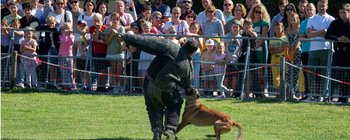Vorführungen der Polizeidiensthunde oder der Sondereinheit SIG begeisterten sowohl das junge als auch schon ältere Publikum. 