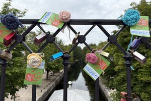 Rosen auf der Elisabethbrücke am Lendhafen machen auf Gewalt gegen Frauen aufmerksam. Foto: Verein EqualiZ