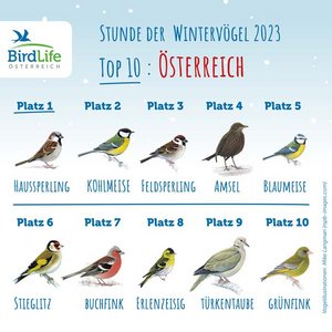 Österreichs Top 10 Vögel. Grafik: BirdLife Österreich