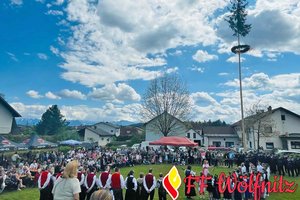 Sonnwendfeier mit Maibaumversteigerung zugunsten der Feuerwehr Treffen. Foto: FF Wölfnitz