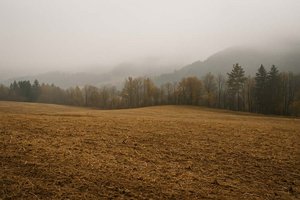 Trockenes Kärnten: November bringt nur leichte Erholung beim Grundwasser. Foto: Symbolbild
