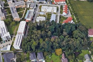 Notwendige Baumentnahme „Am Forstgarten“. Foto: Google Street View