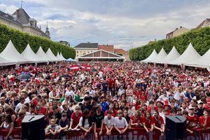 Hunderte Fans brachten den Neuen Platz beim Public Viewing zum Beben. Foto: StadtKommunikation / Buchner
