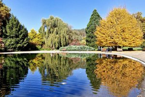 Im Europapark soll eine Kunstinstallation des Kärntner Künstlers Valentin Oman errichtet werden. Foto: Mein Klagenfurt